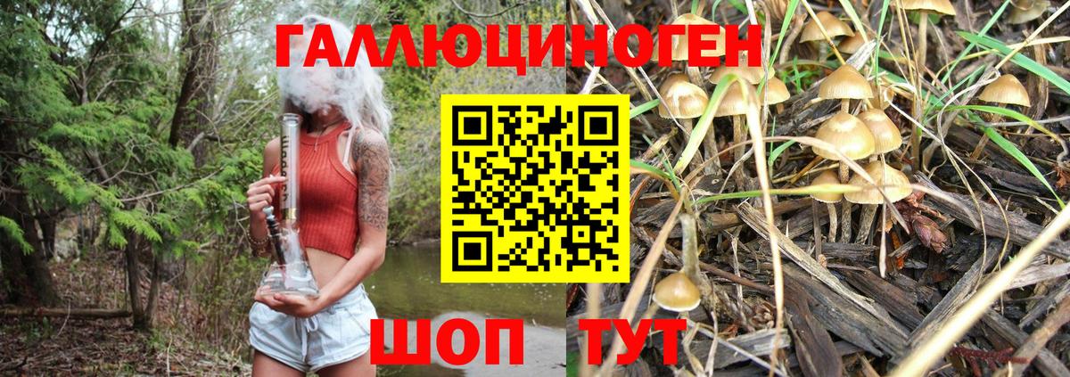 Псилоцибиновые грибы Magic Shrooms  Вход с VPN  Ангарск 